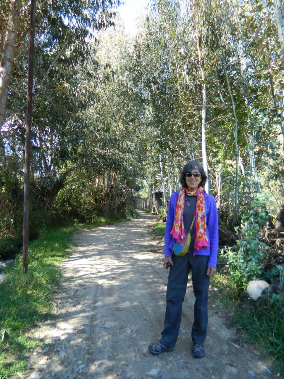 Yoly'S House Daire Caraz Dış mekan fotoğraf